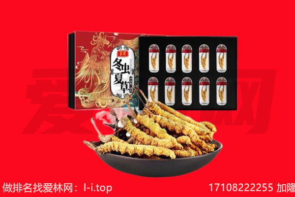 怒江州兰坪回收虫草.jpg